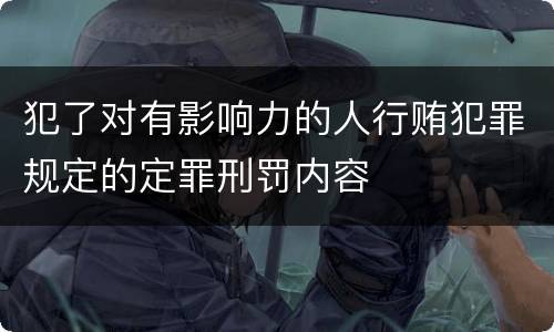 犯了对有影响力的人行贿犯罪规定的定罪刑罚内容