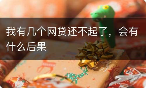 我有几个网贷还不起了，会有什么后果