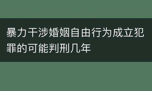 暴力干涉婚姻自由行为成立犯罪的可能判刑几年