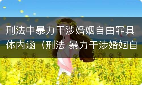刑法中暴力干涉婚姻自由罪具体内涵（刑法 暴力干涉婚姻自由罪）