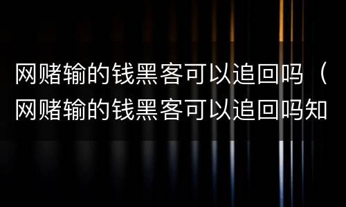 网赌输的钱黑客可以追回吗（网赌输的钱黑客可以追回吗知乎）