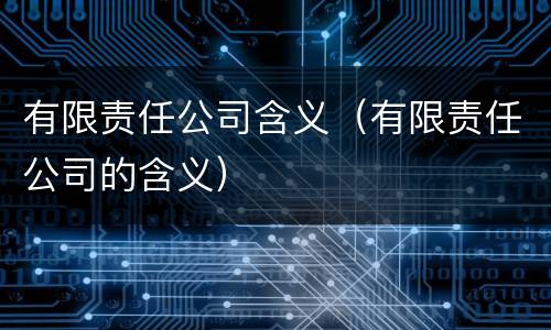 有限责任公司含义（有限责任公司的含义）