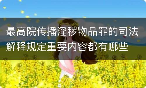 最高院传播淫秽物品罪的司法解释规定重要内容都有哪些