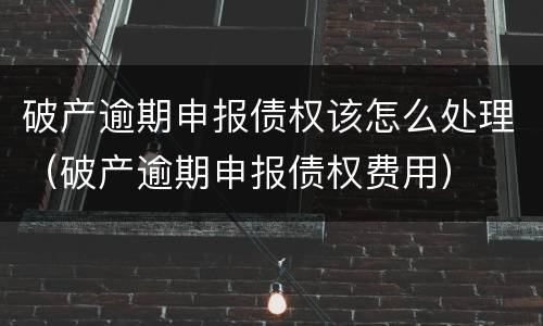 破产逾期申报债权该怎么处理（破产逾期申报债权费用）