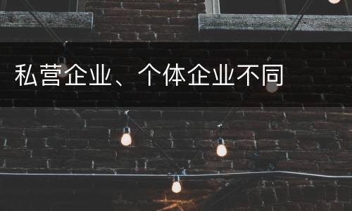 私营企业、个体企业不同