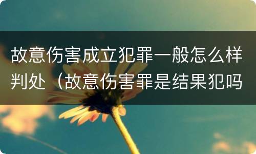 故意伤害成立犯罪一般怎么样判处（故意伤害罪是结果犯吗）