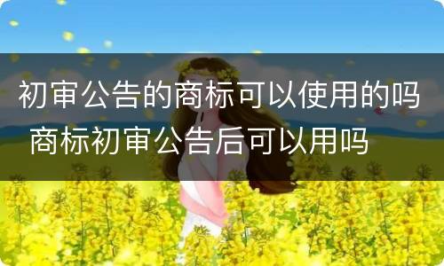 初审公告的商标可以使用的吗 商标初审公告后可以用吗