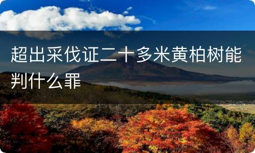 超出采伐证二十多米黄柏树能判什么罪