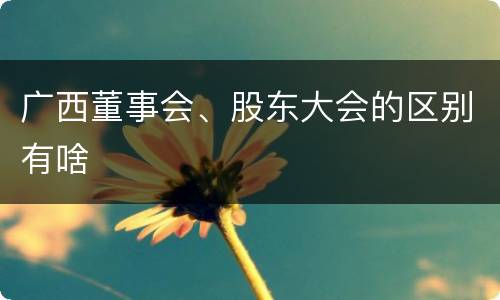 广西董事会、股东大会的区别有啥