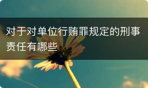 对于对单位行贿罪规定的刑事责任有哪些