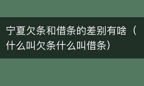 宁夏欠条和借条的差别有啥（什么叫欠条什么叫借条）