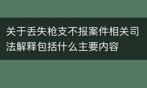 关于丢失枪支不报案件相关司法解释包括什么主要内容