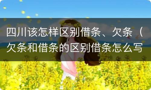 四川该怎样区别借条、欠条（欠条和借条的区别借条怎么写）