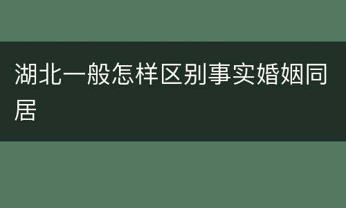 湖北一般怎样区别事实婚姻同居