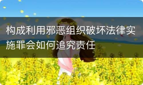 构成利用邪恶组织破坏法律实施罪会如何追究责任