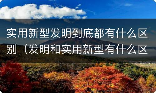 实用新型发明到底都有什么区别（发明和实用新型有什么区别）