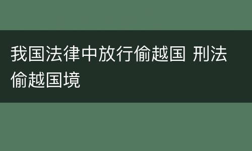 我国法律中放行偷越国 刑法 偷越国境