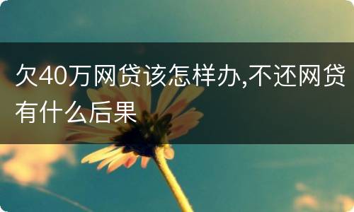 欠40万网贷该怎样办,不还网贷有什么后果