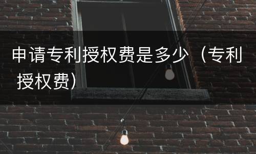 申请专利授权费是多少（专利 授权费）