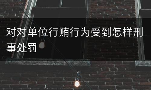 对对单位行贿行为受到怎样刑事处罚
