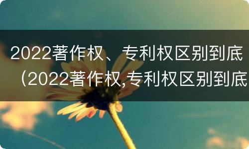 2022著作权、专利权区别到底（2022著作权,专利权区别到底是什么?）
