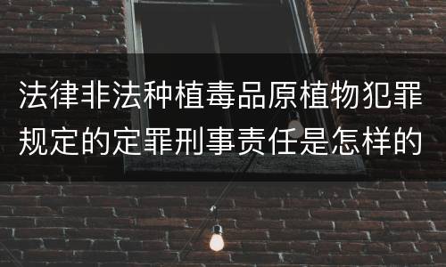 法律非法种植毒品原植物犯罪规定的定罪刑事责任是怎样的