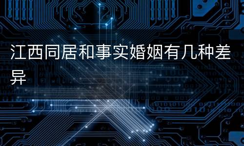 江西同居和事实婚姻有几种差异