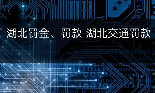 湖北罚金、罚款 湖北交通罚款