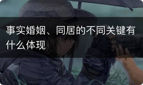 事实婚姻、同居的不同关键有什么体现