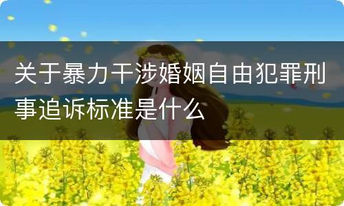 关于暴力干涉婚姻自由犯罪刑事追诉标准是什么