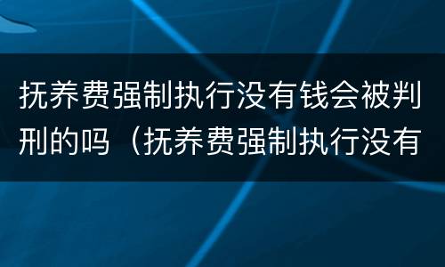 抚养费强制执行没有钱会被判刑的吗（抚养费强制执行没有钱会被判刑的吗知乎）