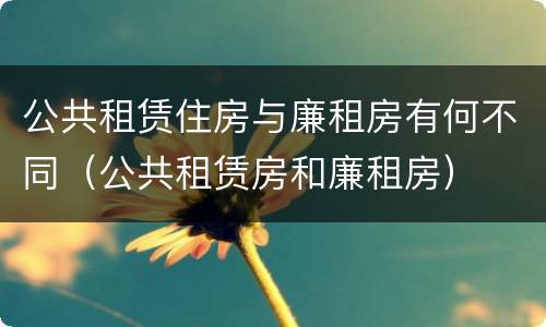 公共租赁住房与廉租房有何不同（公共租赁房和廉租房）
