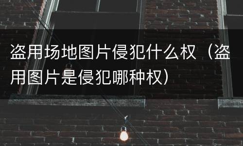 盗用场地图片侵犯什么权（盗用图片是侵犯哪种权）