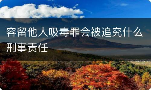 容留他人吸毒罪会被追究什么刑事责任