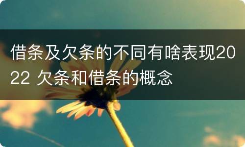 借条及欠条的不同有啥表现2022 欠条和借条的概念