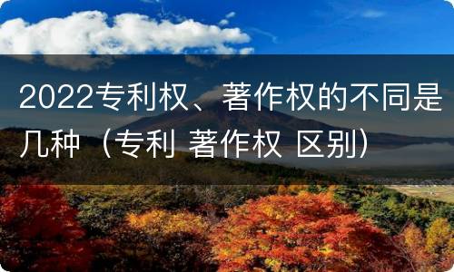 2022专利权、著作权的不同是几种（专利 著作权 区别）