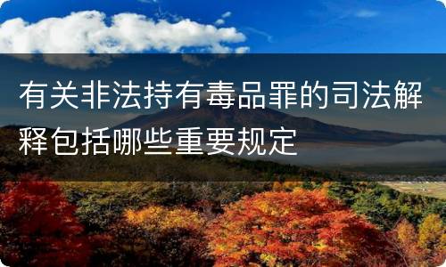 有关非法持有毒品罪的司法解释包括哪些重要规定