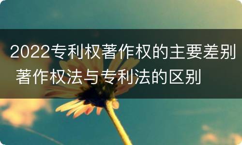 2022专利权著作权的主要差别 著作权法与专利法的区别