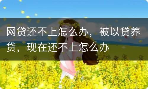 网贷还不上怎么办，被以贷养贷，现在还不上怎么办