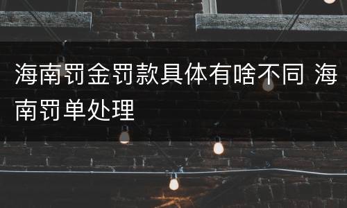海南罚金罚款具体有啥不同 海南罚单处理
