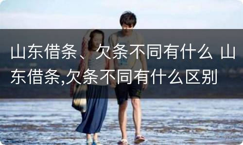 山东借条、欠条不同有什么 山东借条,欠条不同有什么区别