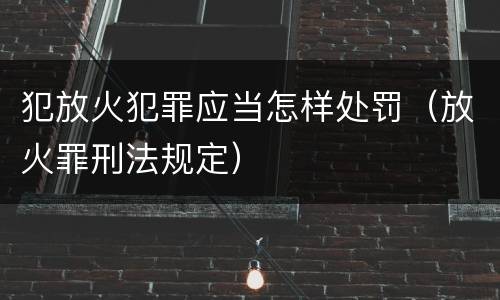 犯放火犯罪应当怎样处罚（放火罪刑法规定）
