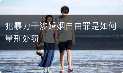 犯暴力干涉婚姻自由罪是如何量刑处罚
