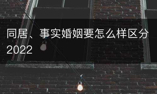 同居、事实婚姻要怎么样区分2022