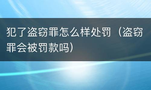 犯了盗窃罪怎么样处罚（盗窃罪会被罚款吗）