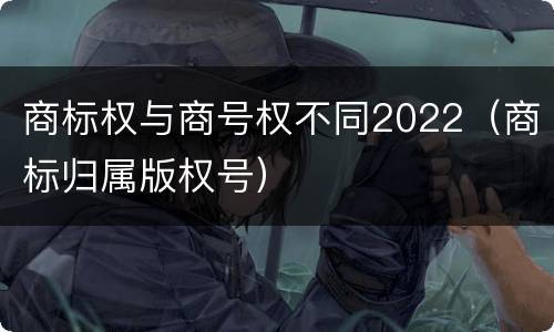 商标权与商号权不同2022（商标归属版权号）