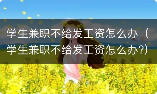 学生兼职不给发工资怎么办（学生兼职不给发工资怎么办?）