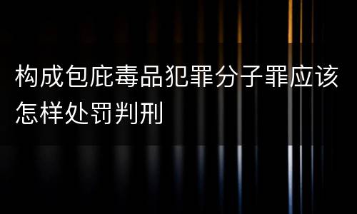 构成包庇毒品犯罪分子罪应该怎样处罚判刑