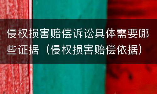 侵权损害赔偿诉讼具体需要哪些证据（侵权损害赔偿依据）