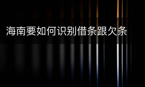 海南要如何识别借条跟欠条